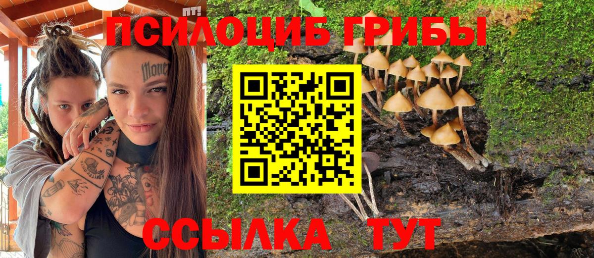 Галлюциногенные грибы MAGIC MUSHROOMS Коломна